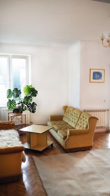 Central Rooms * Przemysl